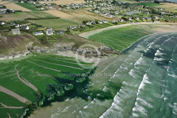 Algues vertes à Plomodiern, Baie de Douarnenez Algues vertes à Plomodiern, Baie de Douarnenez